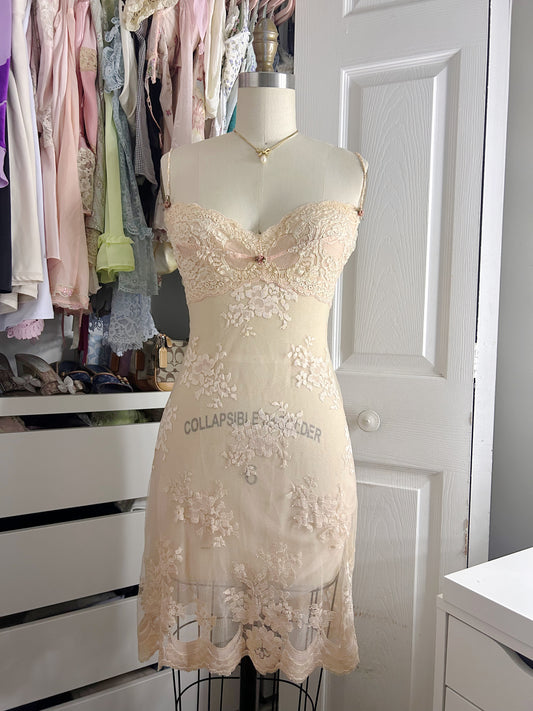 Rare Rose Quart Claire Pettibone Lace Dress